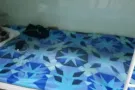 Looking for Male Bed sharing 男性搭房
