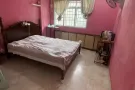 大牌355