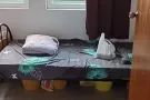 床位出租