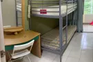 乌节路和索美塞有男女床位出租