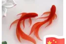 牛车水单间出租