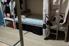 裕廊西 大牌501  男女床位出租 可报本屋地址 还有一个单间 可做二人间 可水电网全包 可煮 新拿的房子 可报本屋地