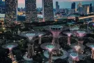 金文泰西海岸703