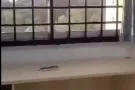 西部房屋出租