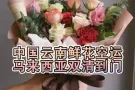 云南鲜花空运马来西亚,马来西亚鲜花进口需要上门资料