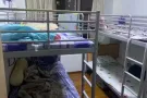 本人屋主，有普通房男生床位出租。