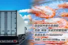 冷冻食品直达新马，全程冷链送到家