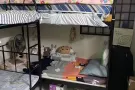 马西岭2人间，招女搭房一位，$400