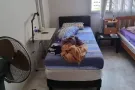 湖畔地铁站搭房