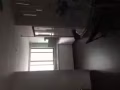 淡滨尼近地铁站 73街 高级公寓 普通房出租 720