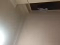淡滨尼地铁站附近，男女搭房，男女床位四人间250元，报地址，
