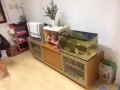加冷地铁大房间招租
