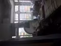 无屋主，无中介费，可煮大/小煮，小房间单人床已有床垫，30号可入住