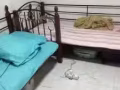 床位出租