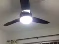 床位出租