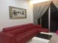 巴西立精装修公寓一套出租！！！！！