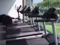 你正在找个家吗? 组屋的价格，公寓的享受，保证你看了就会爱上这个家，