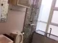 文慶city regency 1+1大戶型漂亮公寓出租。八月末可入住