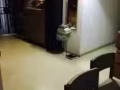 【Outram Park欧南园地铁站】女搭房（女生）