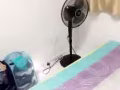 限一人，马来西亚女生，非吸烟，爱干净，随和 