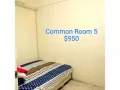 Condo for rental
