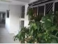 $500 woodlands 好房出租 无二房东