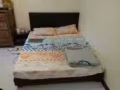 巴西力524B Pasir Ris Street 51 主人房 单人800~双人
