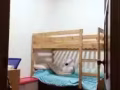 碧山宏茂桥 公寓普通房