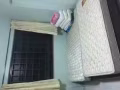 三巴旺504D大普通间650元