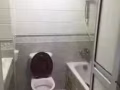 男搭房