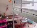 實龍崗公寓招女搭房