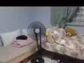 普通房出租 联邦 地铁站。
