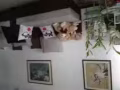 淡滨尼三房式组屋出租