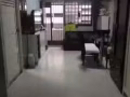 床位出租刚签好房， 丹戎巴葛干净无屋主