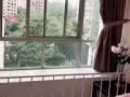 马里士他精装修主人房出租$1600全包靠近Shaw商场无屋主