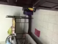 爱干净