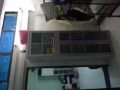 爱干净