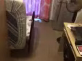 芽笼26巷找学生合租