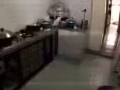 123@大巴窯