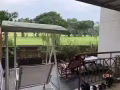 兀兰公寓普通房和主人房出租！学生党优先！