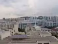 單房出租 - 樓下巴士直到烏節路25分鐘 - 高樓無阻擋
