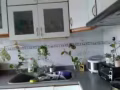 Tampinese cuort 温馨漂亮温馨主人房出租