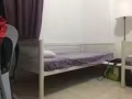 寻找女房客