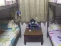 女搭房床位出租