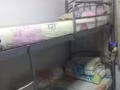女搭房床位出租
