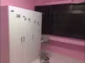 裕廊東大牌278