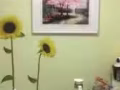 大巴窯小房間出租