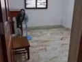 2+1 直落布蘭雅大牌65 Telok Blangah Drive