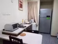 Wilkie Rd豪华1+1套房/近Kaplan及建安大厦/$2300/包水电网