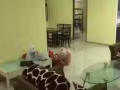義順大牌310普通房